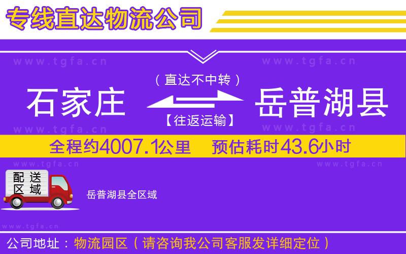 石家莊到岳普湖縣物流專線