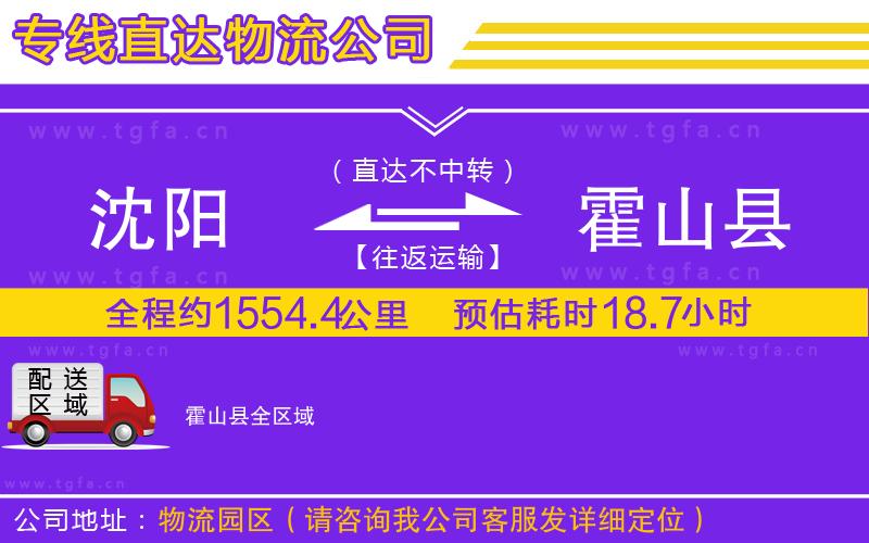 沈陽(yáng)到霍山縣物流公司
