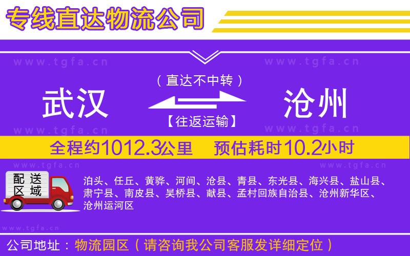 武漢到滄州物流公司