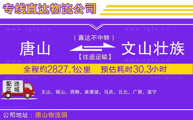 唐山到文山壯族苗族自治州貨運(yùn)公司