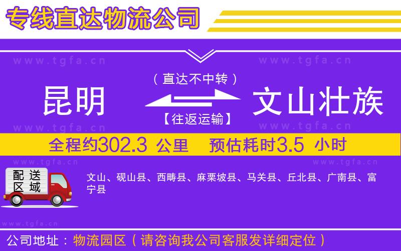 昆明到文山壯族苗族自治州物流公司