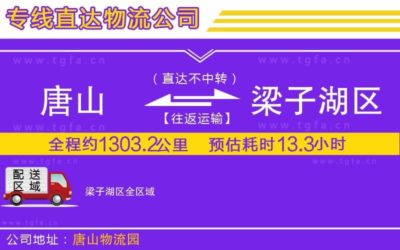 唐山到梁子湖區(qū)貨運(yùn)公司