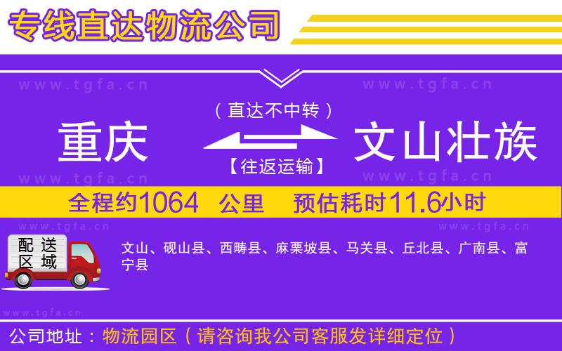 重慶到文山壯族苗族自治州物流專線