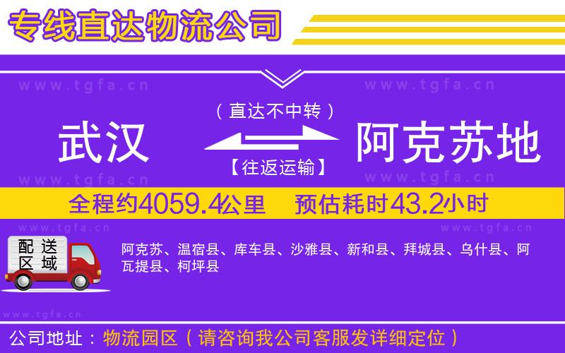 武漢到阿克蘇地區(qū)物流公司
