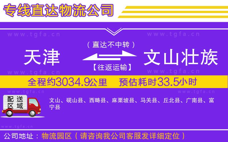 天津到文山壯族苗族自治州物流公司